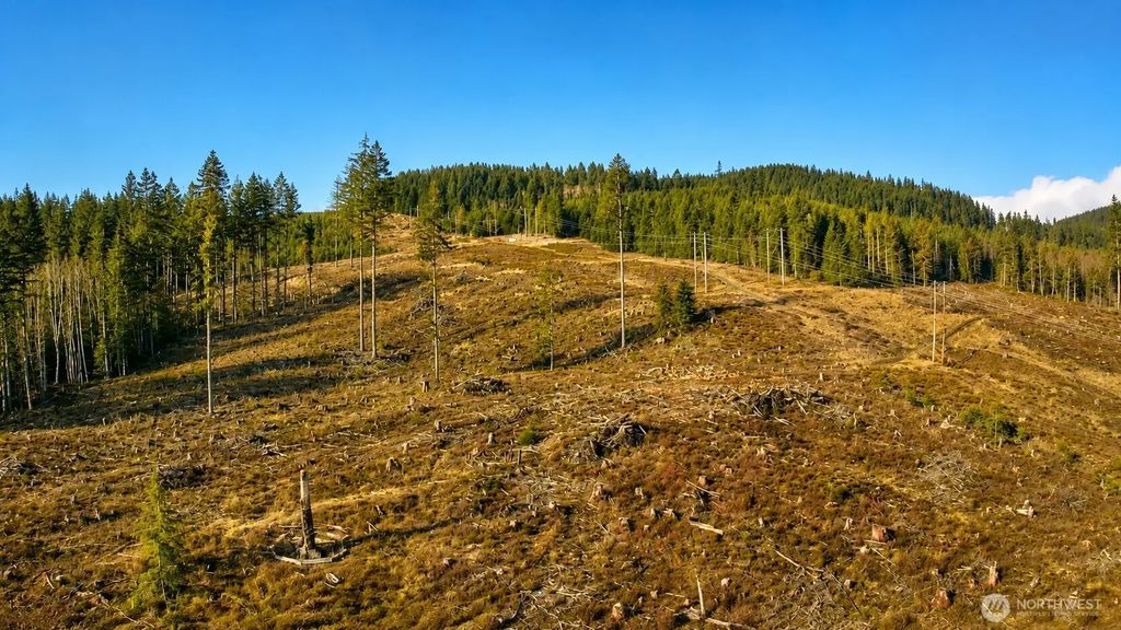 B-1000 Road, Sequim