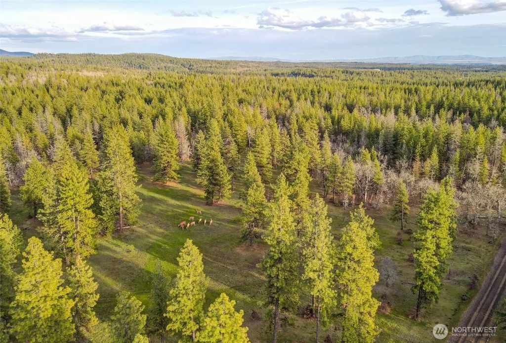 0 Lot 15 Greyback Mt Road, Goldendale
