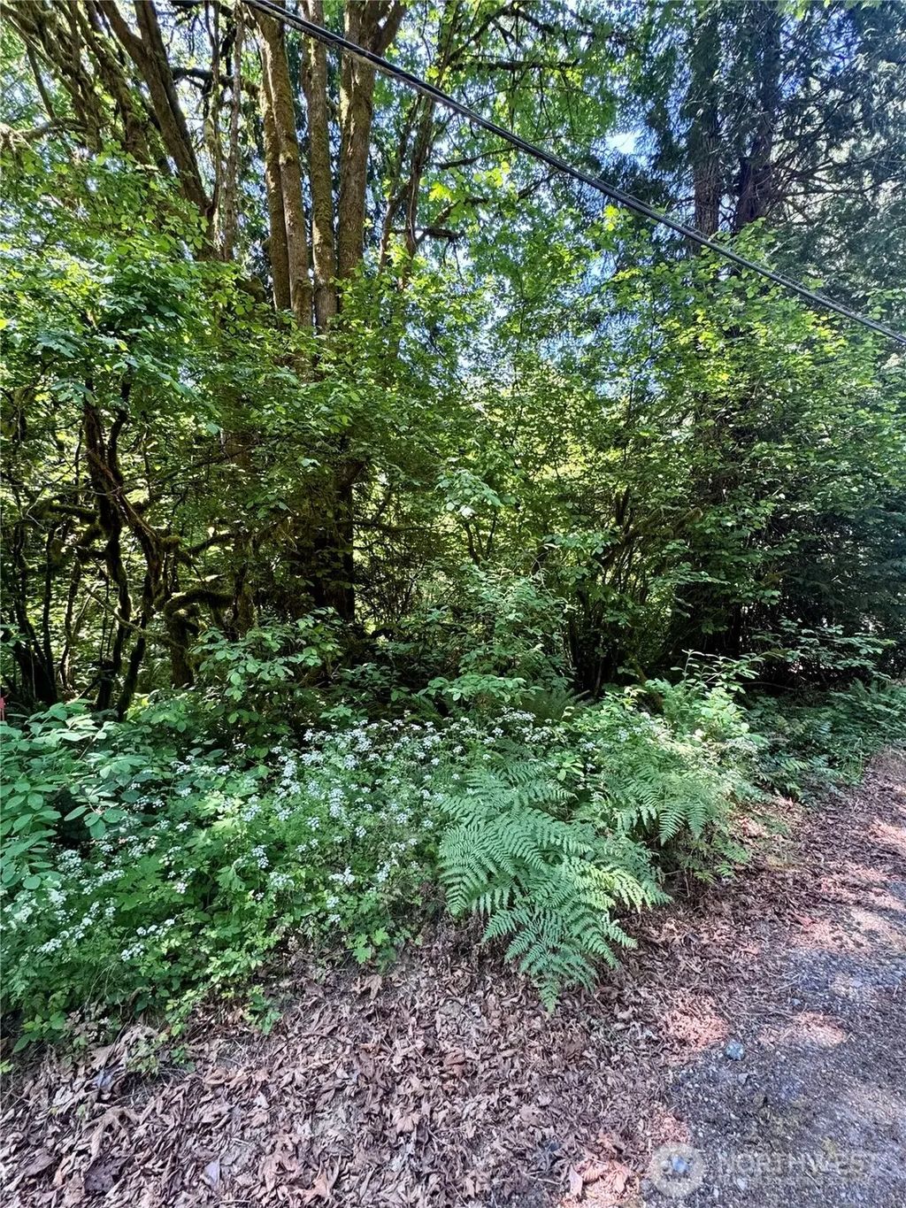 12014 126th Avenue Nw, Gig Harbor