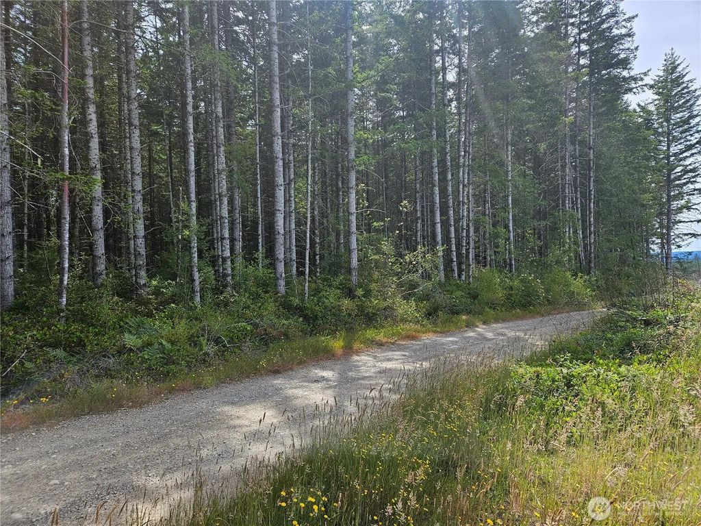 0 Nka L Lee Valley Road, Quilcene