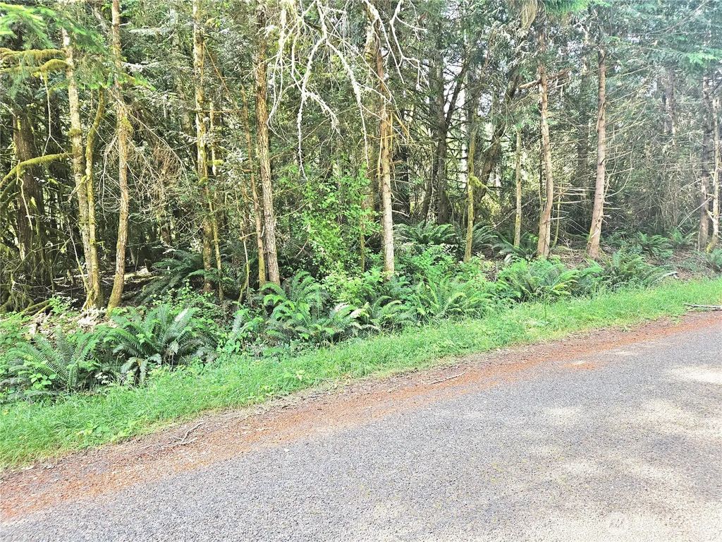 124 E Go Onna Drive, Quilcene