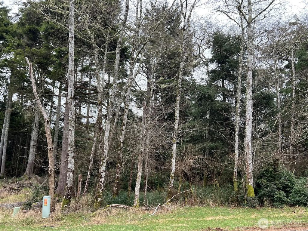 314 Lake View Loop Ne, Ocean Shores