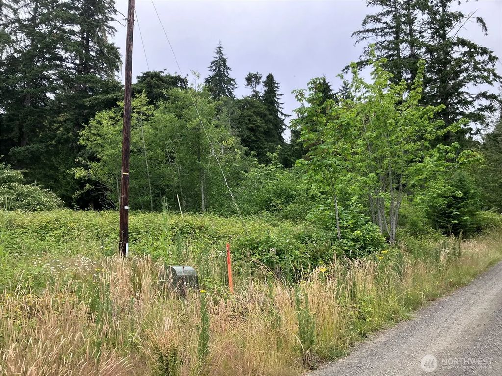 N Viken Lane, Hoodsport