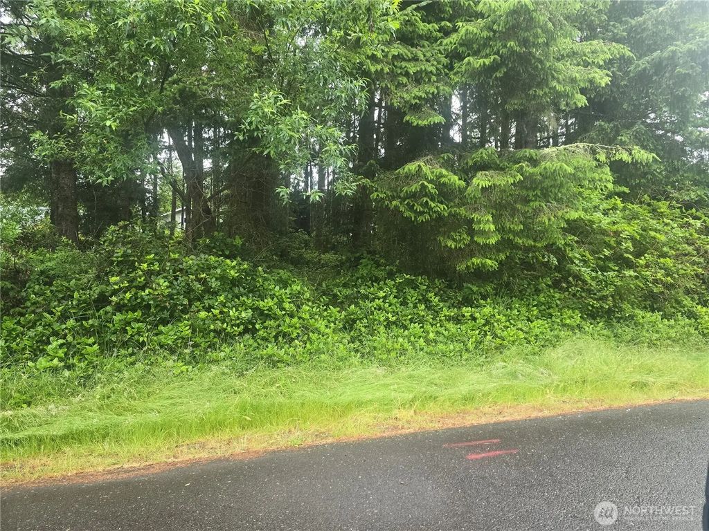 563 Weatherwax Loop Ne, Ocean Shores