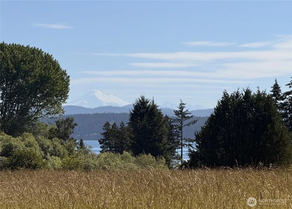 Turn Point Road, Friday Harbor