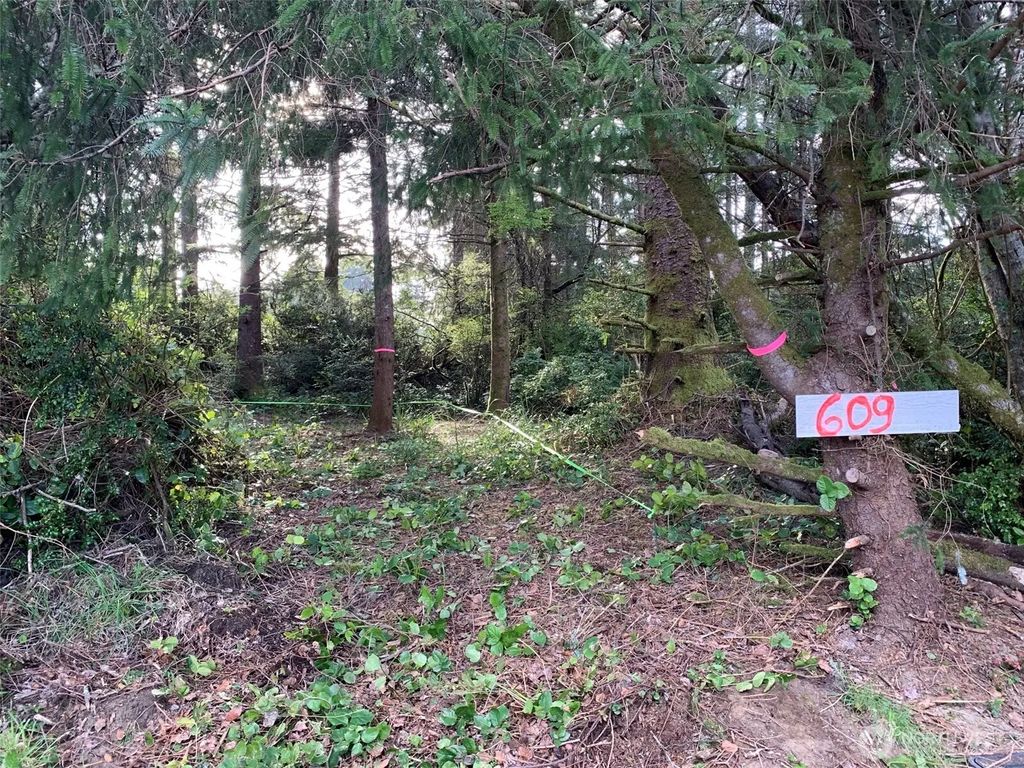 609 Weatherwax, Ocean Shores