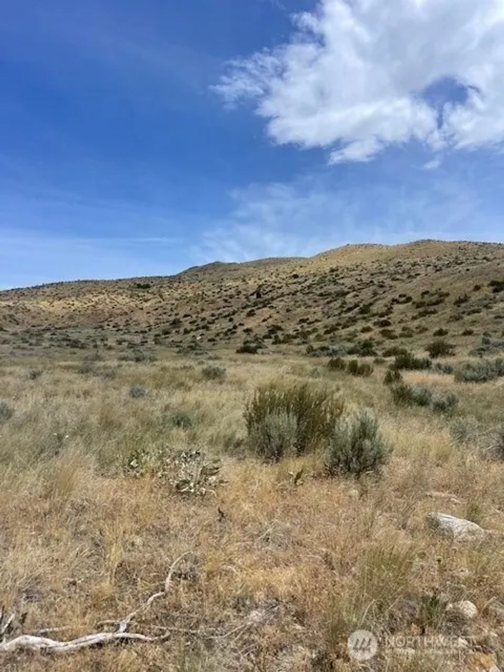 410 Lot 2 Bill Shaw Road, Pateros