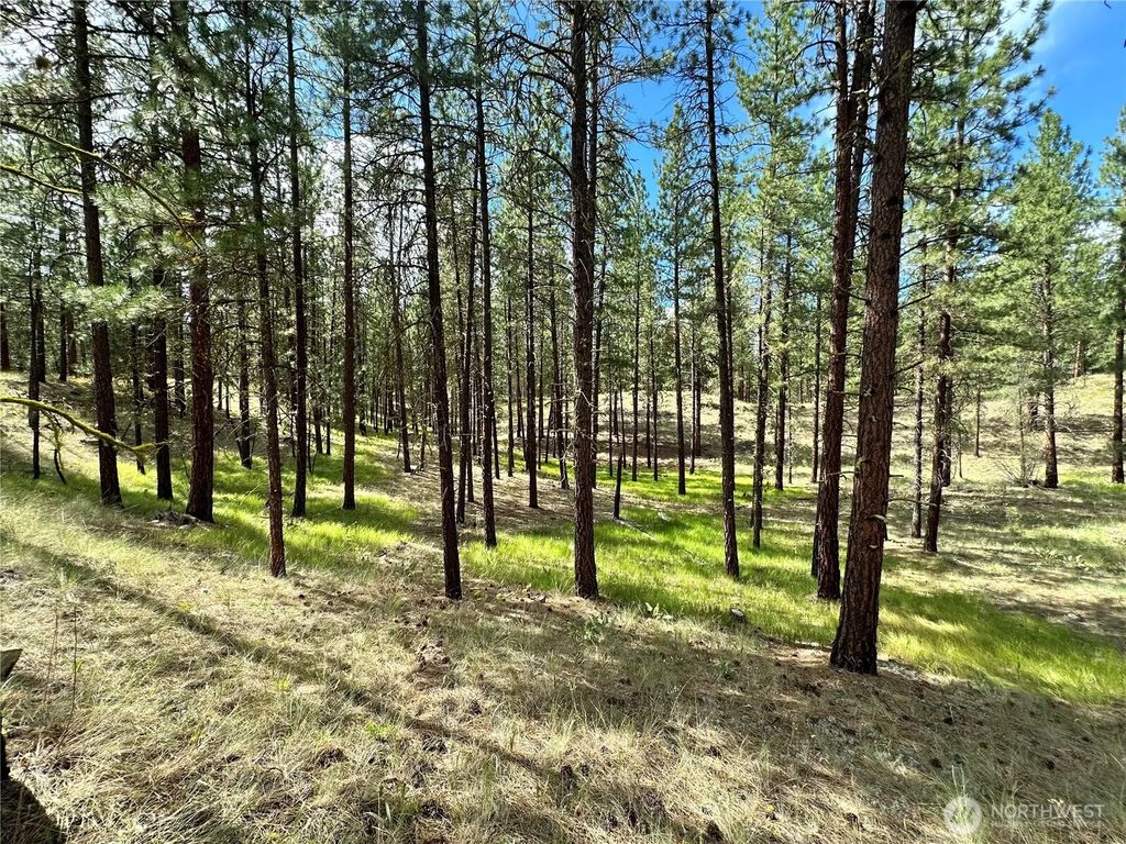 67 Larkspur Drive, Winthrop