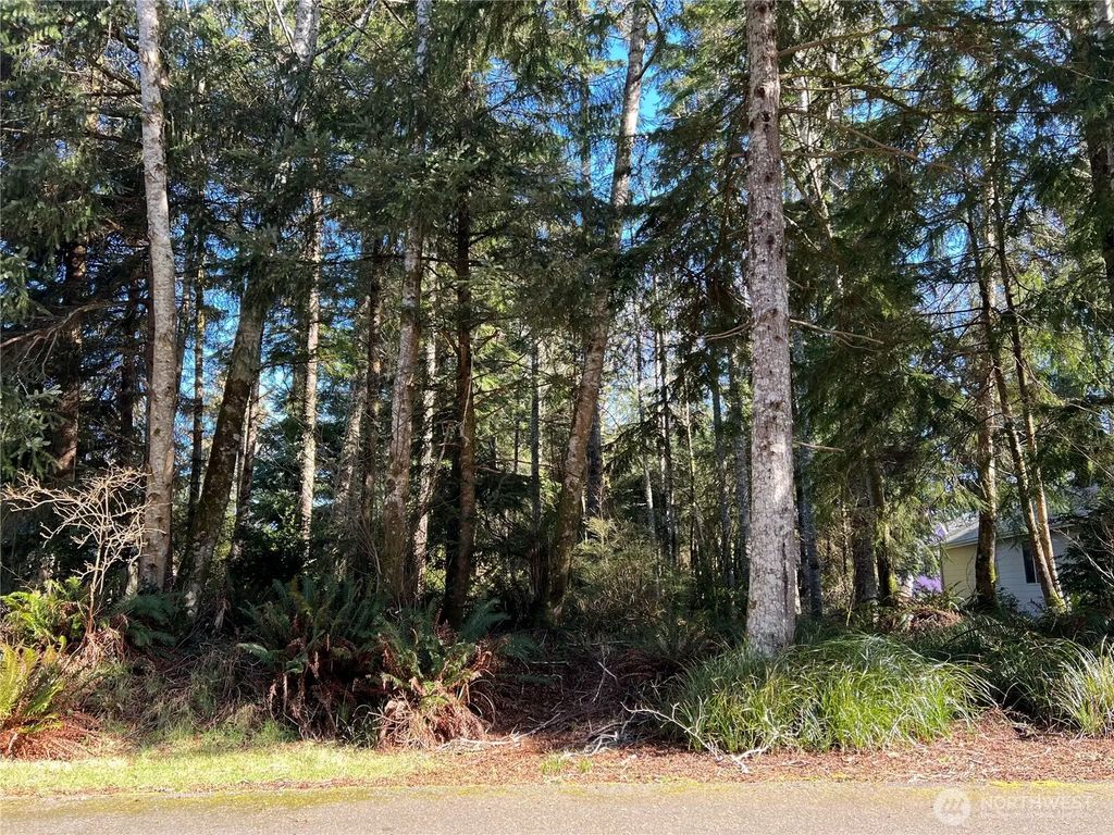 336 Hyde Court Ne, Ocean Shores