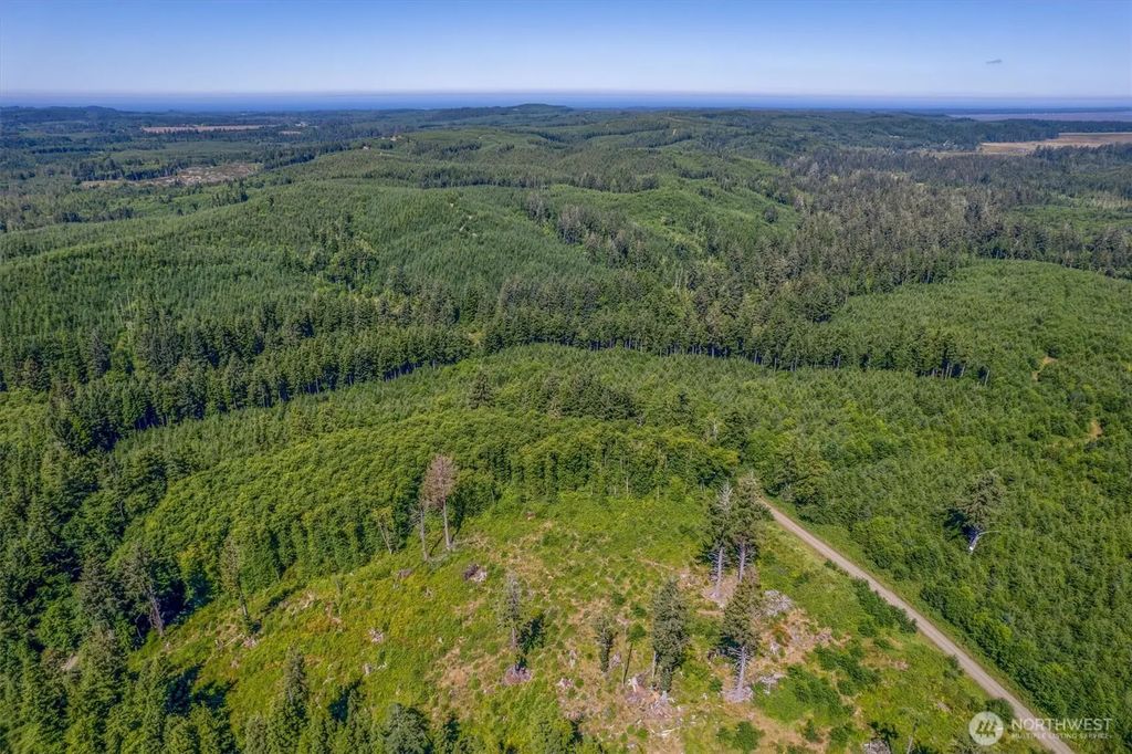 1 W Walberg Road, Chinook