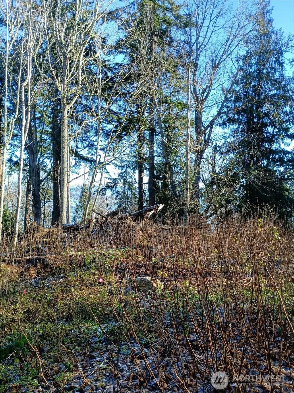 49 K Tulalip Way, Hat Island