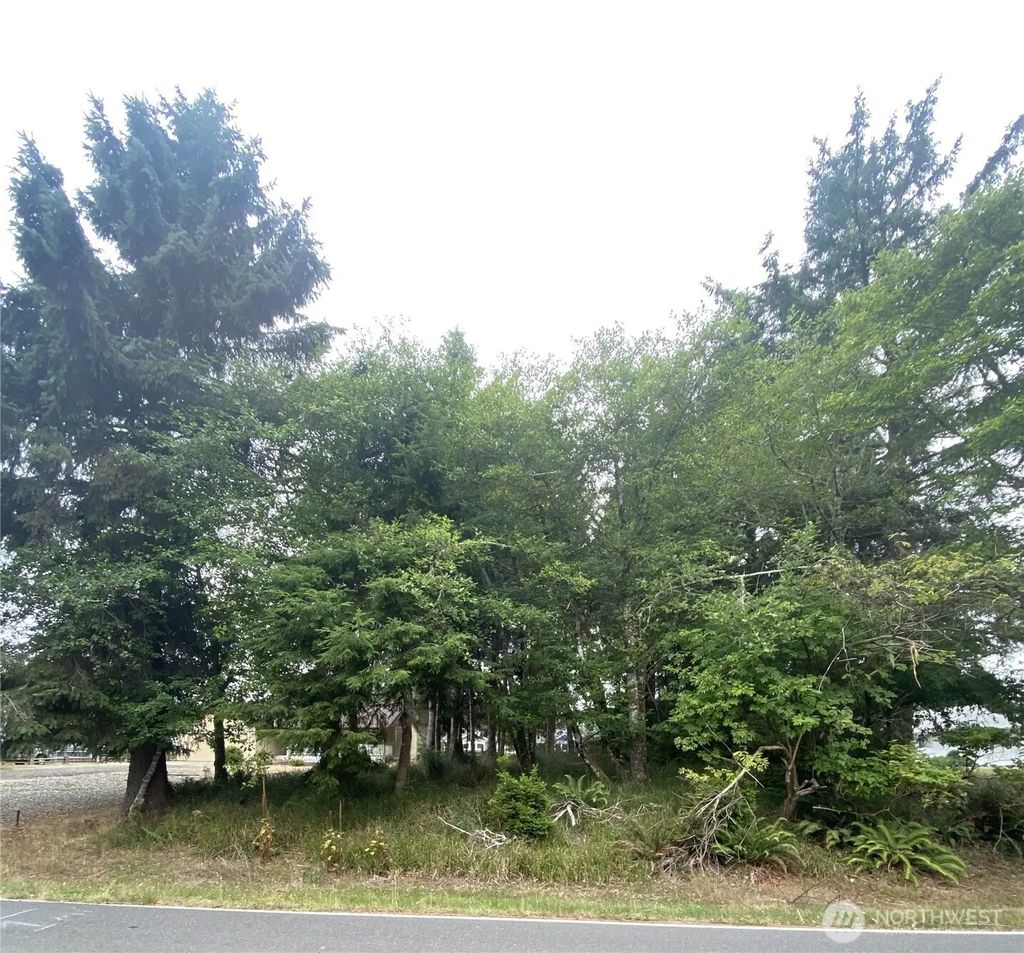 135 Duck Lake Drive Ne, Ocean Shores