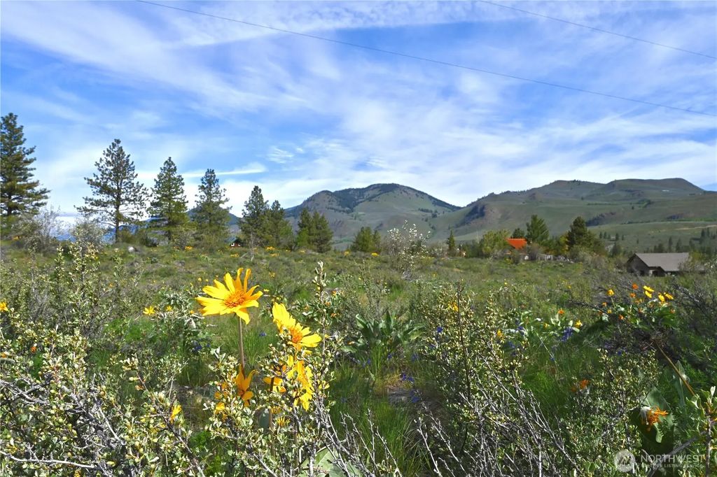 Green Meadows, Winthrop