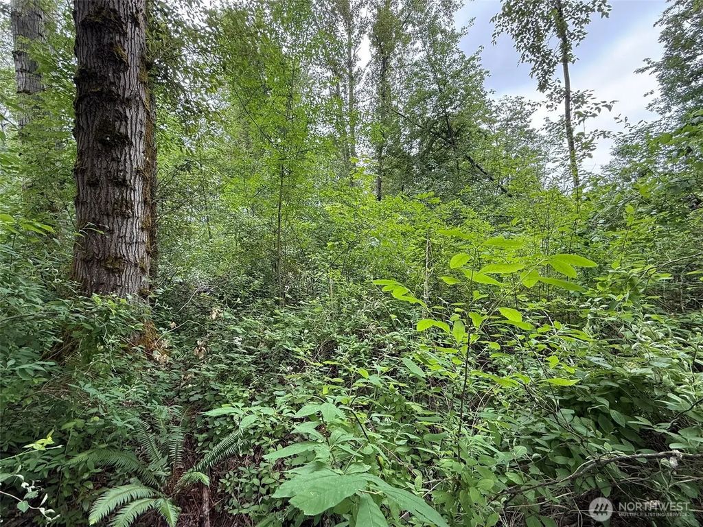1810 S 27th Street, Renton