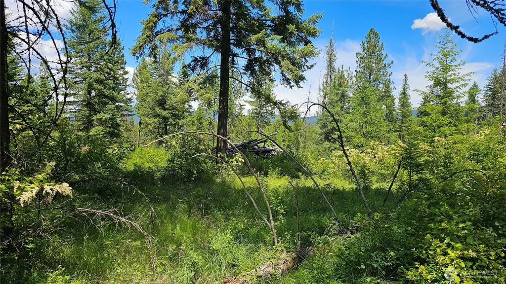 432 X Bussard Lake Road, Loon Lake