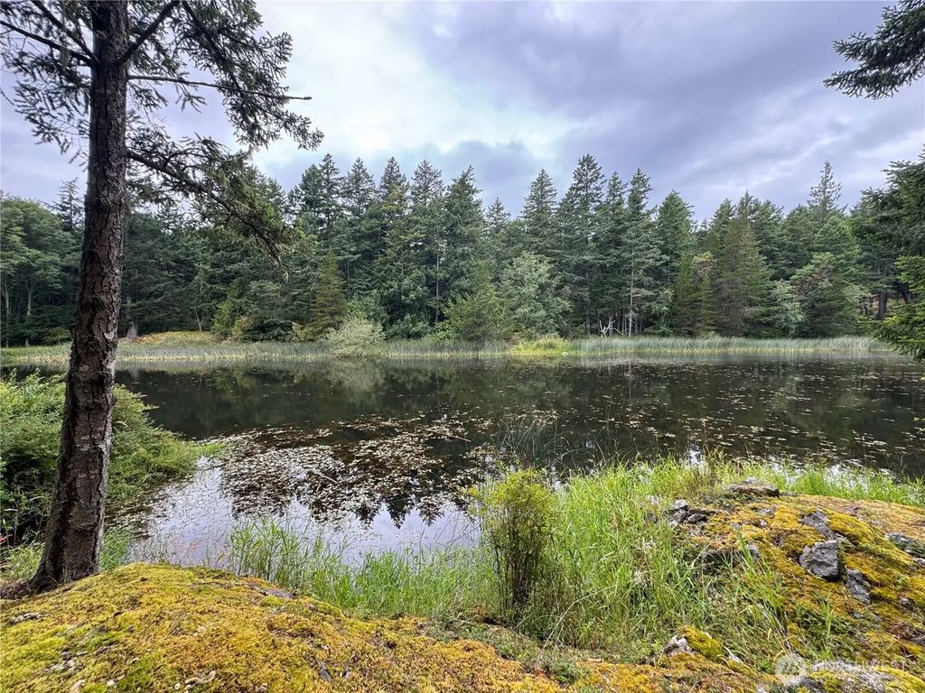 230 Serendipity Lane, Orcas Island