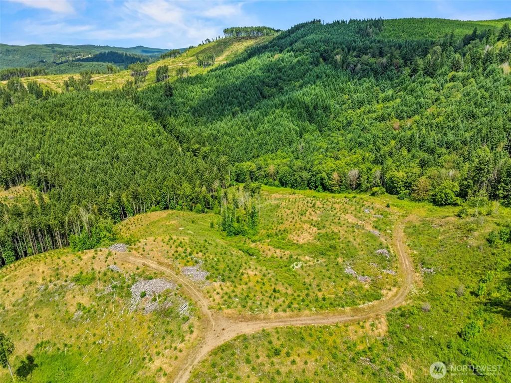 0 Lot E Holcomb Road, Kelso