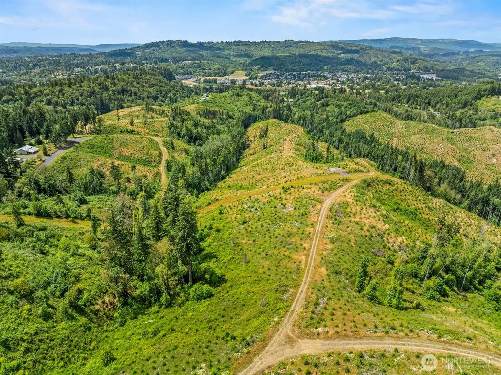 0 Lot A Holcomb Road, Kelso