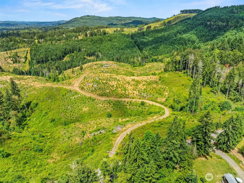 0 Lot B Holcomb Road, Kelso