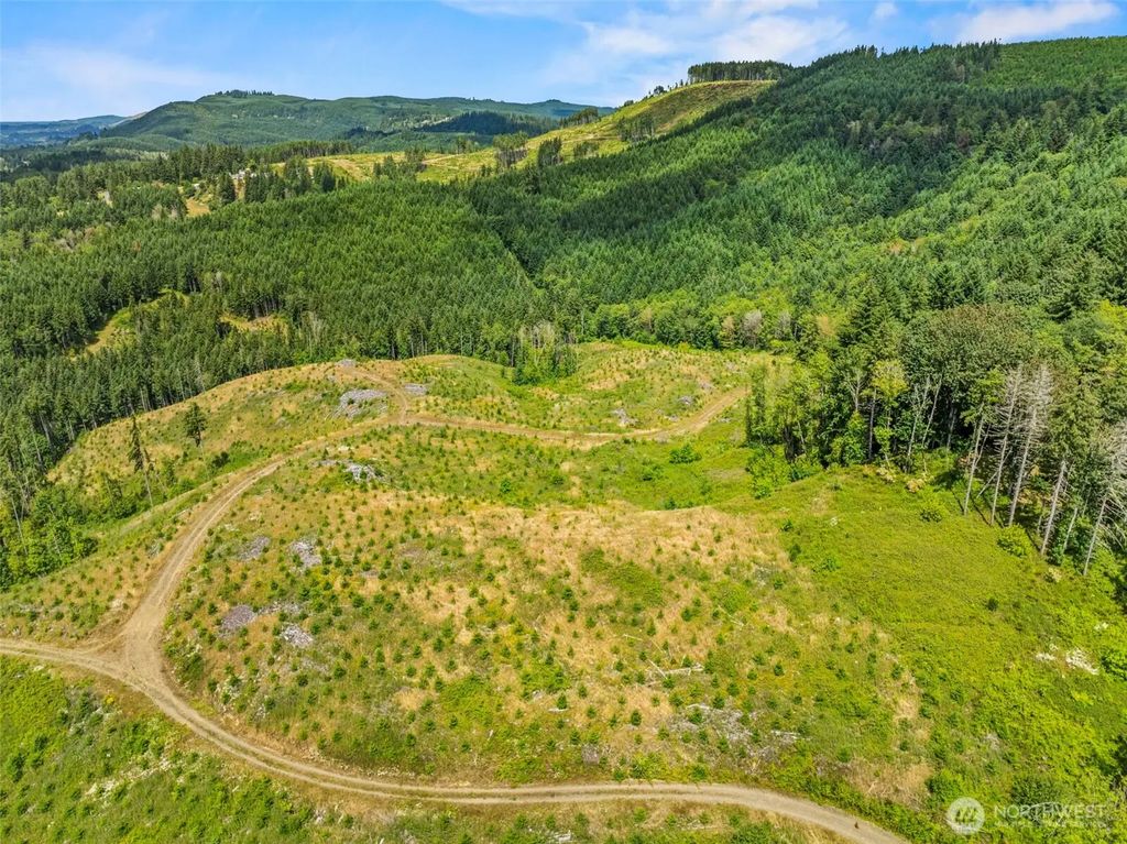 0 Lot C Holcomb Road, Kelso