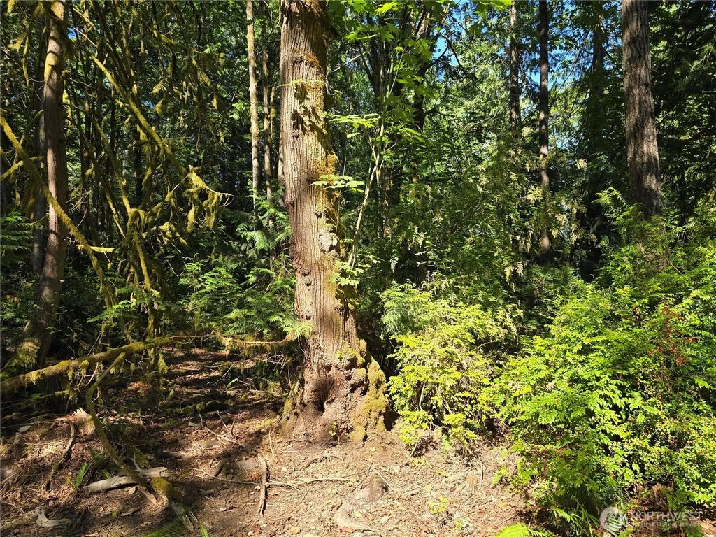 655 E Pointes Drive E, Shelton