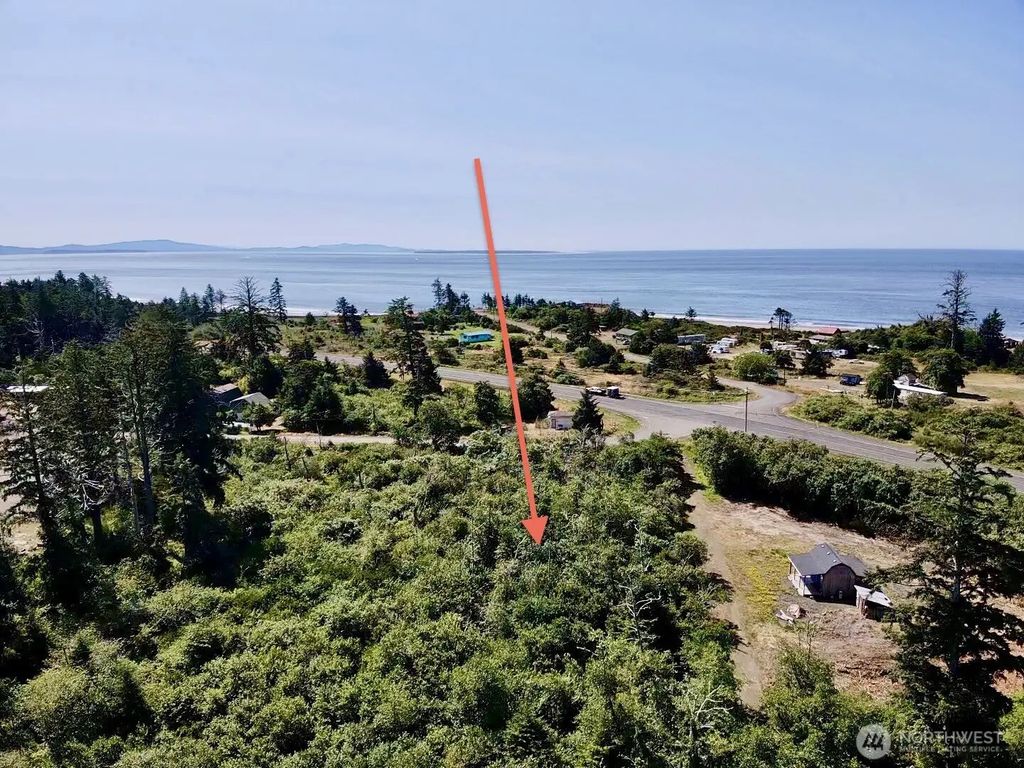1 Xxx Larkin, Grayland