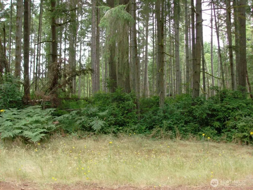 10810 Madrona Drive, Anderson Island