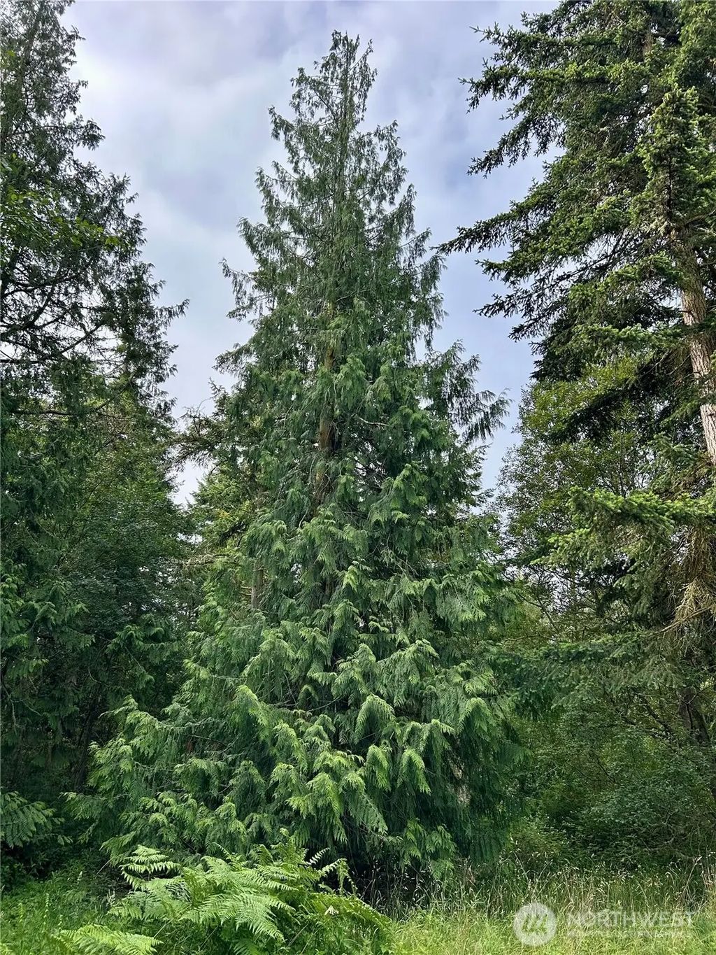 3202 Cliff Street, Port Townsend