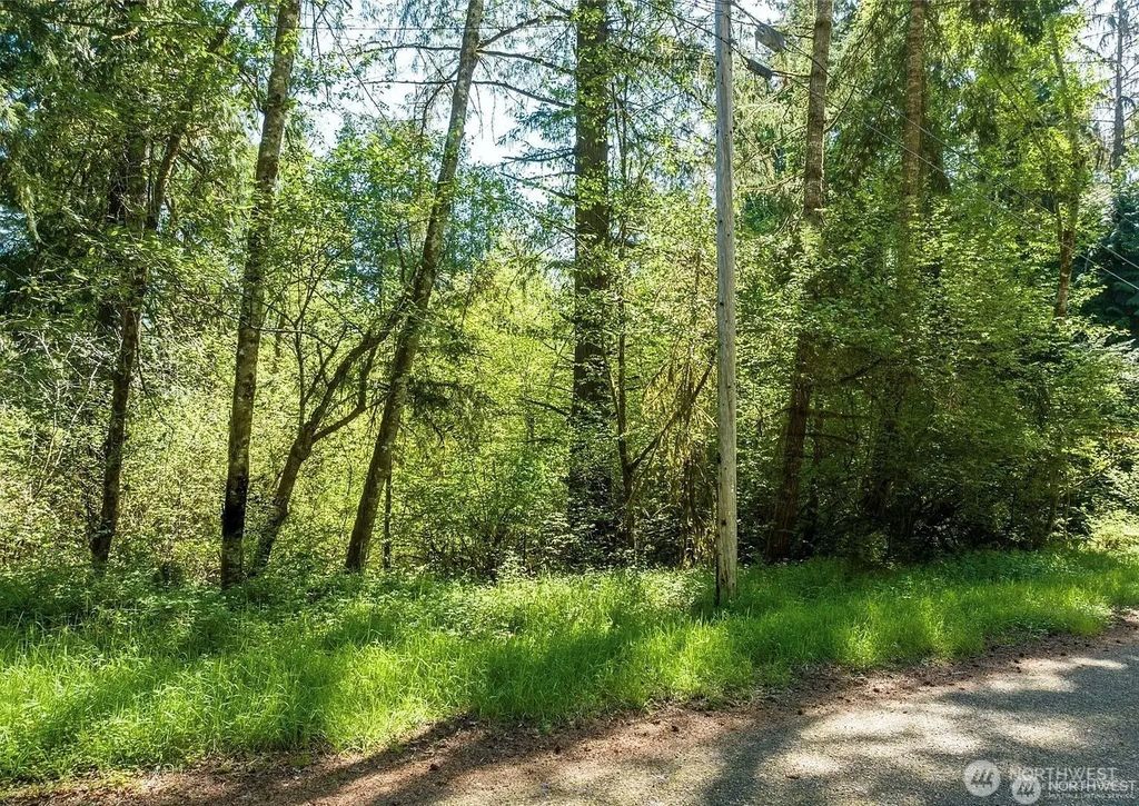 10515 Edgewood Drive, Anderson Island