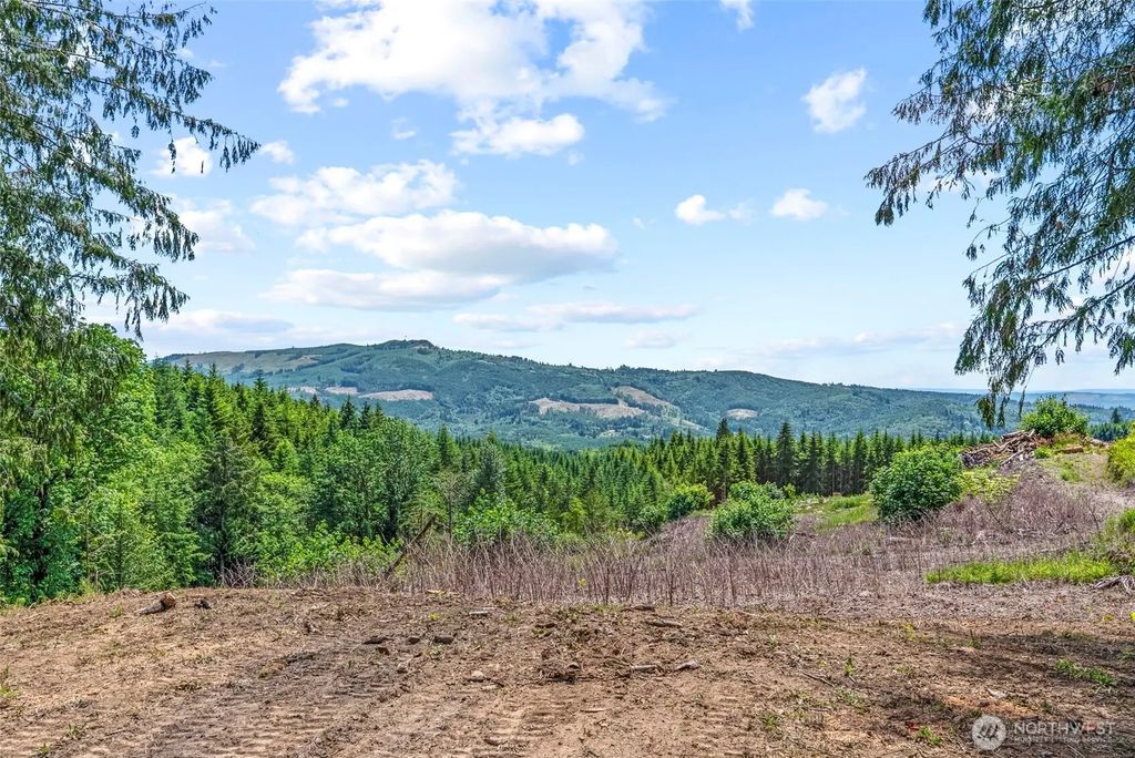 1899 Mt Pleasant Road, Kelso