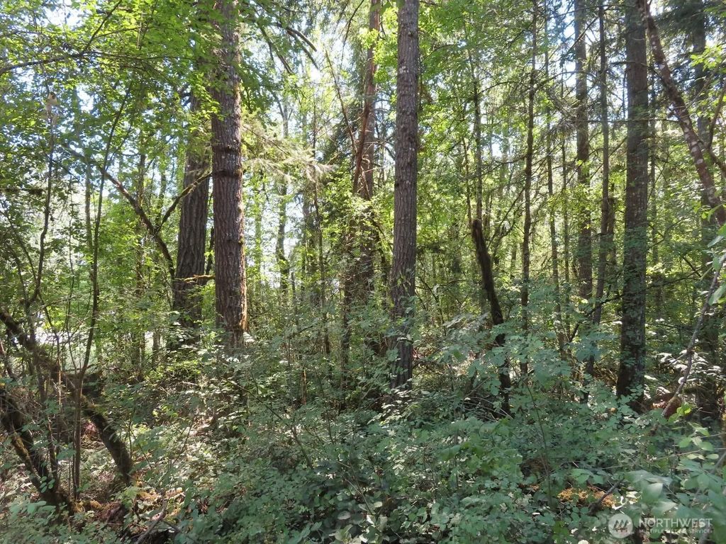 115 Campground Lane, Winlock