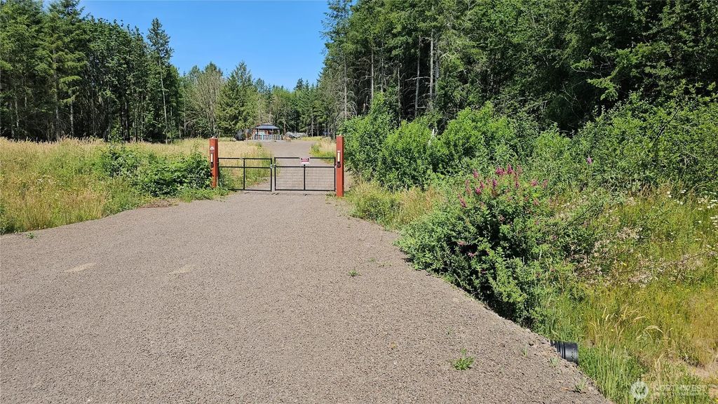 142 Volcano, Napavine