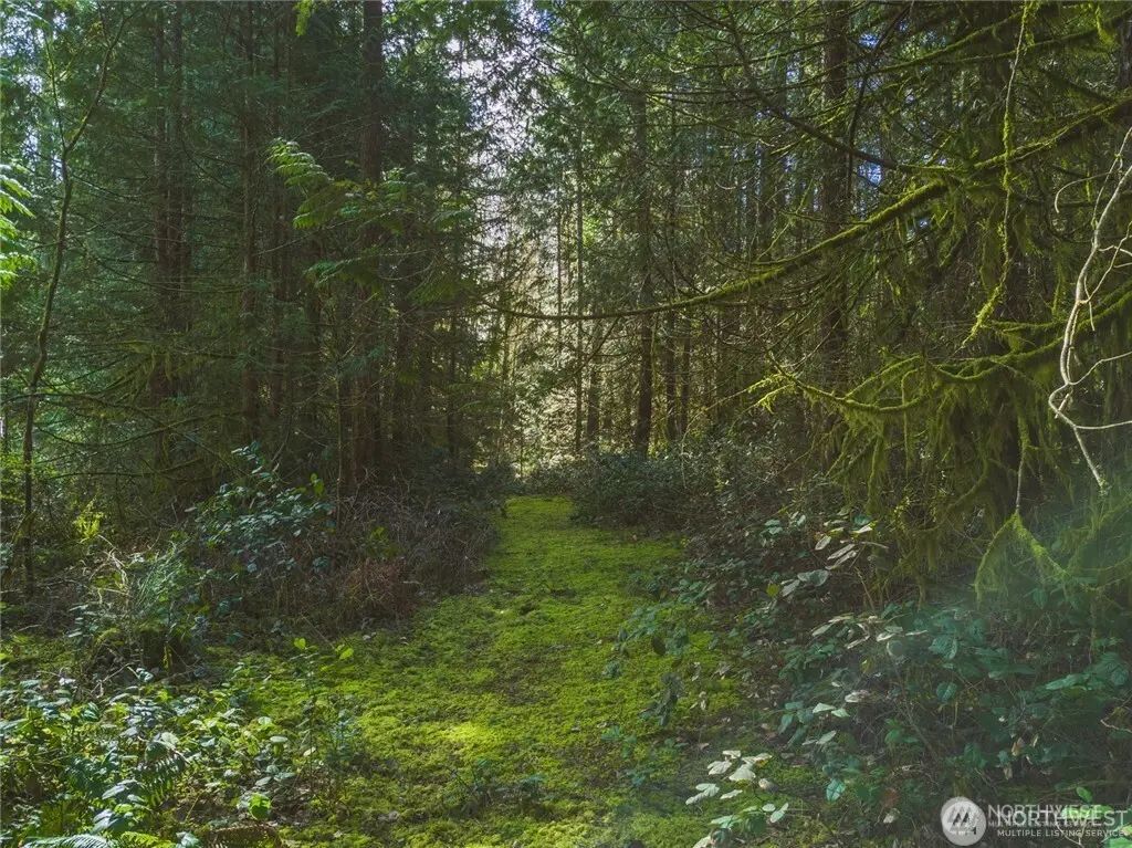 Sw County Line Road, Port Orchard