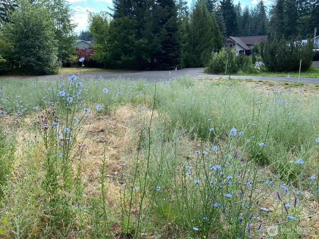 7 Lot Kuhuku Court, Cle Elum