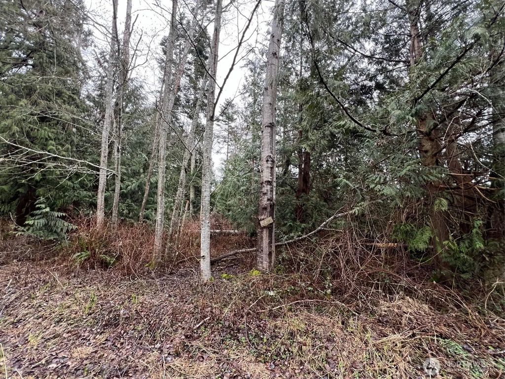 0 Lot 6 Rex Street, Point Roberts