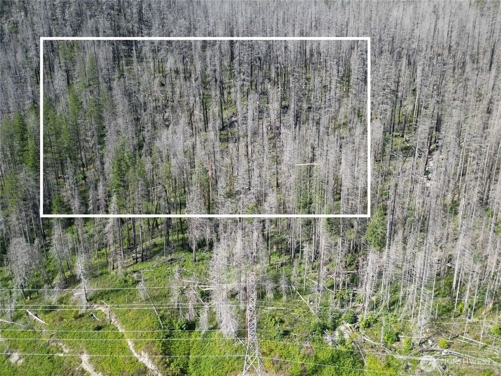 0 Xx Skykomish Woods, Skykomish