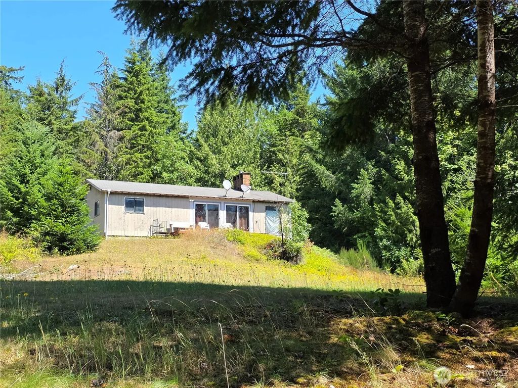 371 Green Mt Lane, Brinnon