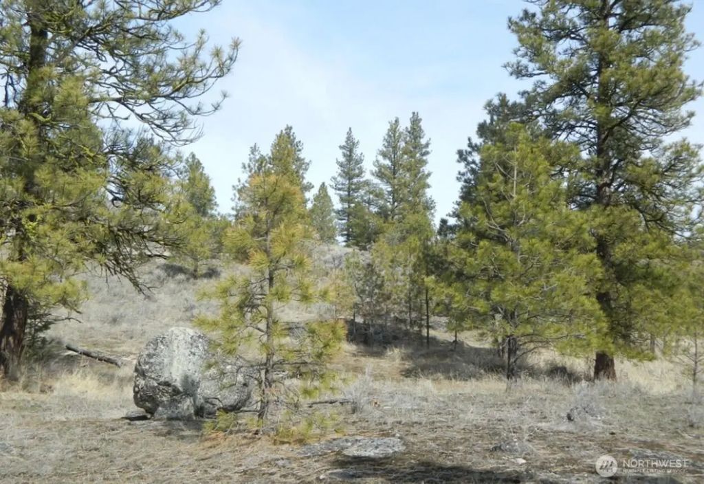 280 Reevas Basin Road, Tonasket