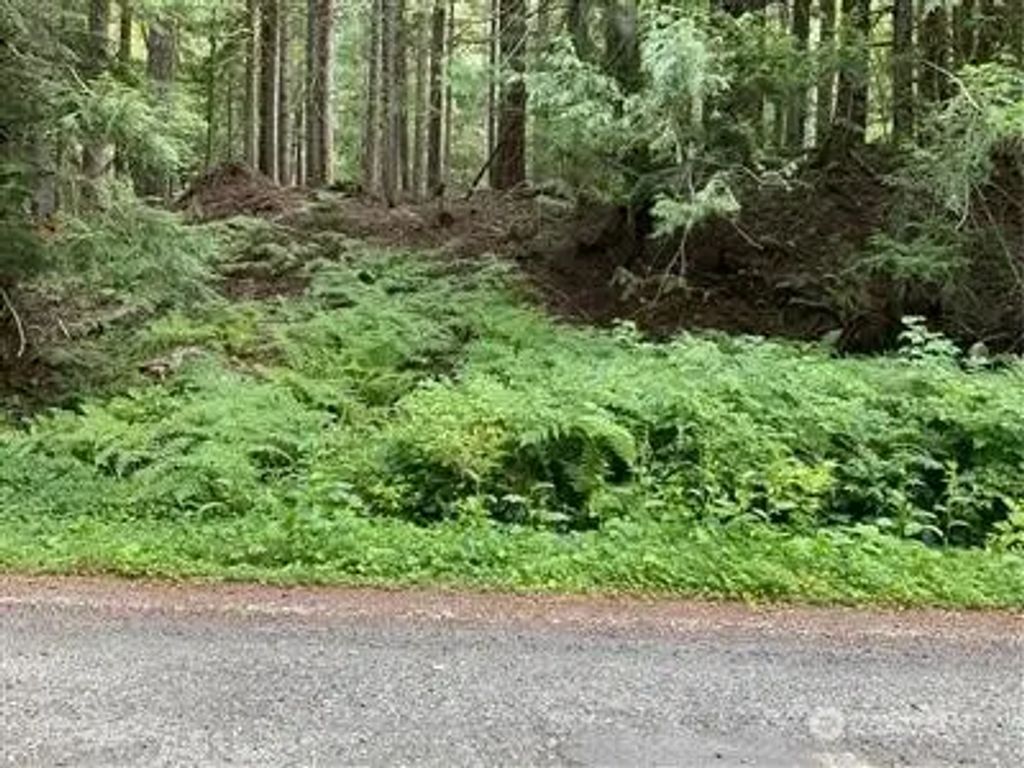 87426 Ne Old Cascade Highway, Skykomish
