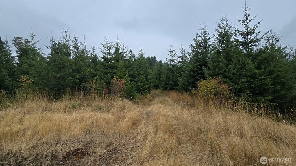9207 Tract B Old Olympic Highway Nw, Olympia