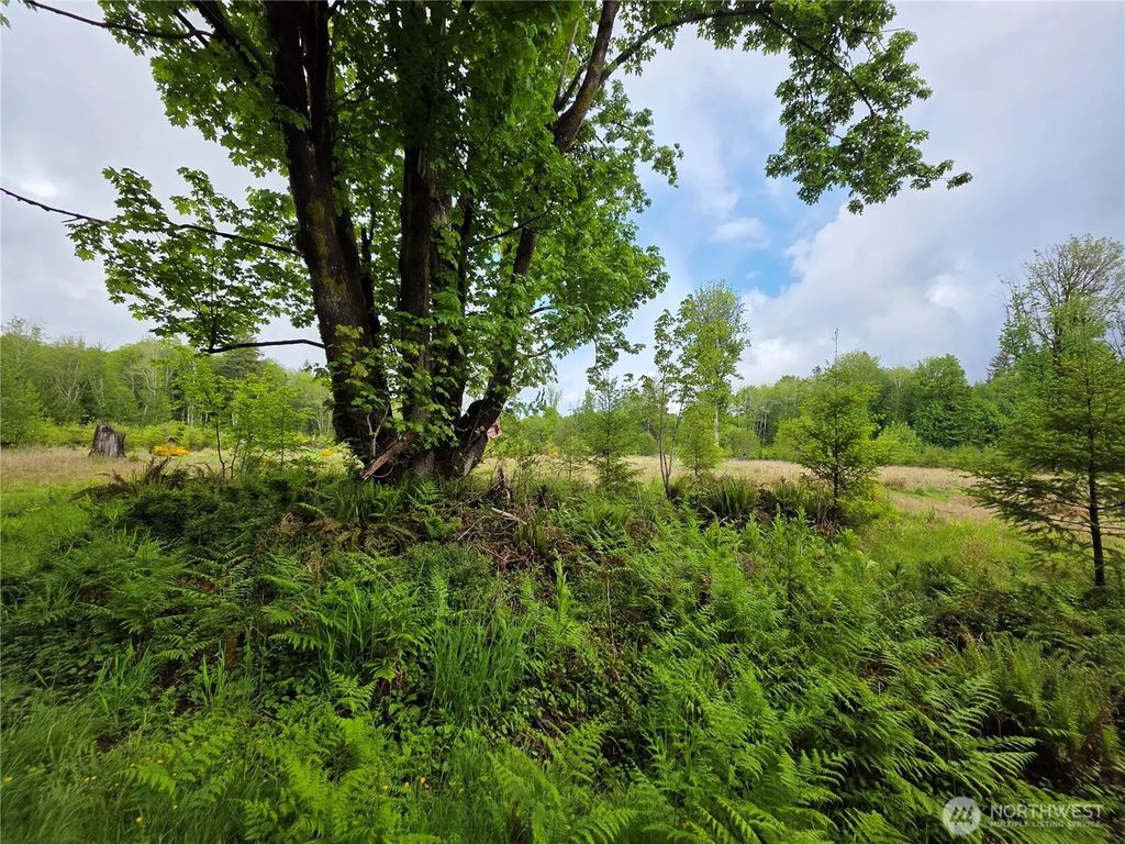 670 W Maple Rock Road, Matlock