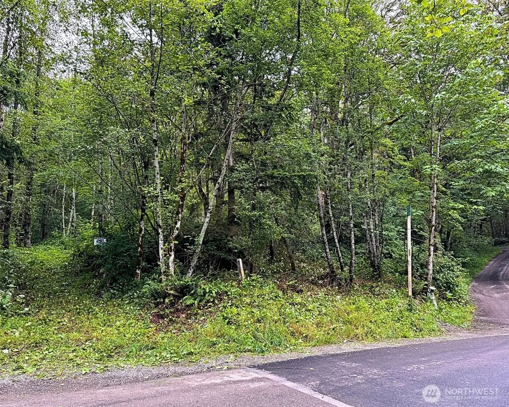 355 Xx Se Courtney Road, Ravensdale