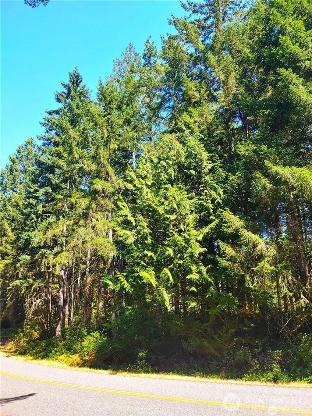 11511 Lake Josephine Boulevard, Anderson Island