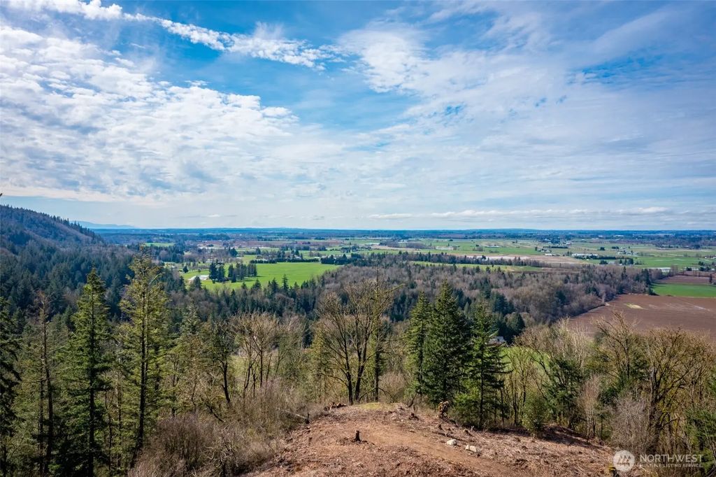 48 Xx Reese Hill Road, Sumas