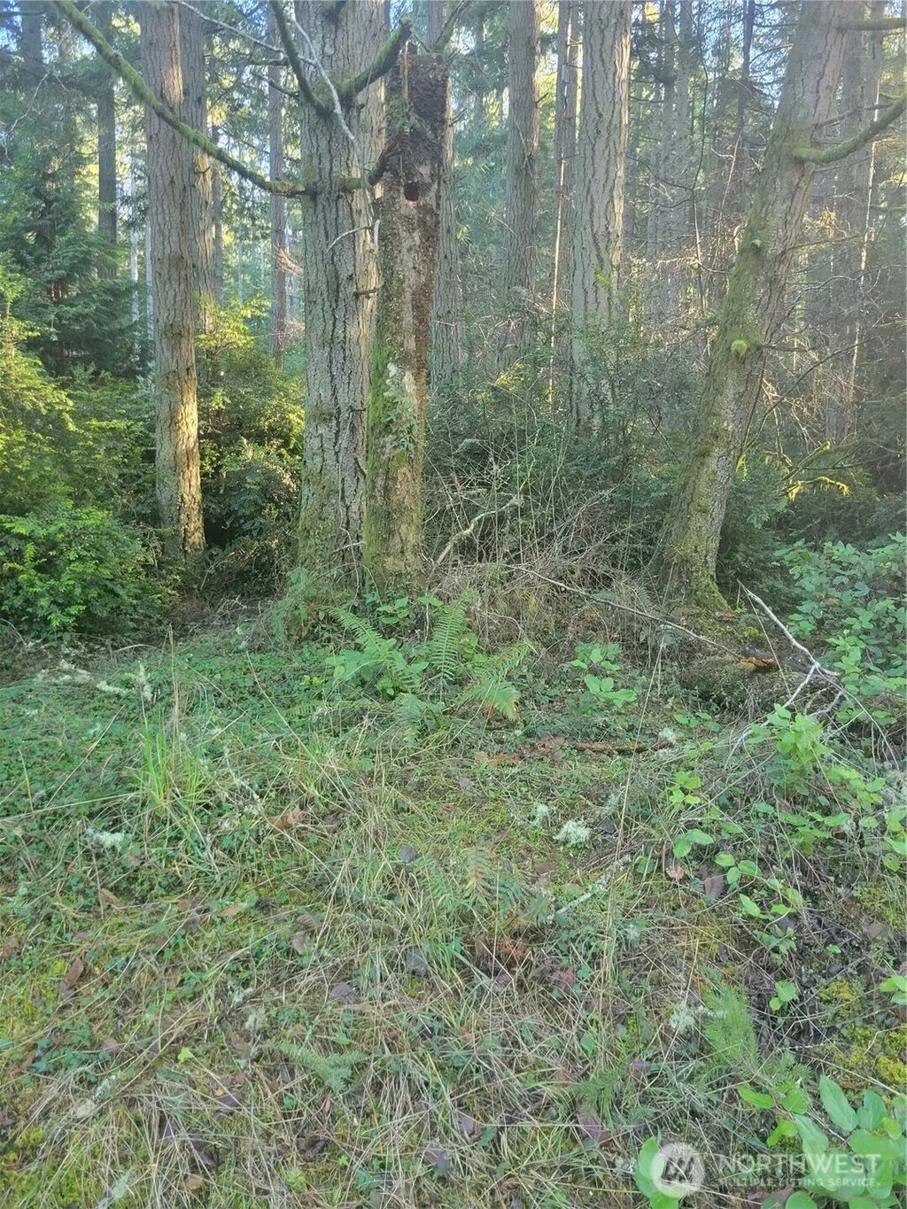 11920 Country Club Drive, Anderson Island
