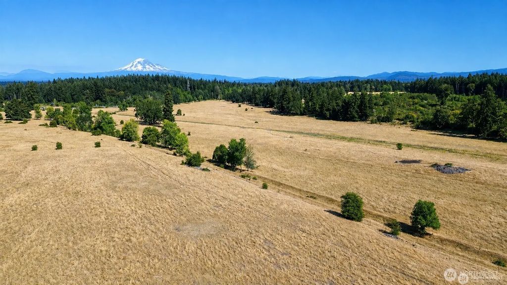 12306 Bald Hill Rd Se, Yelm