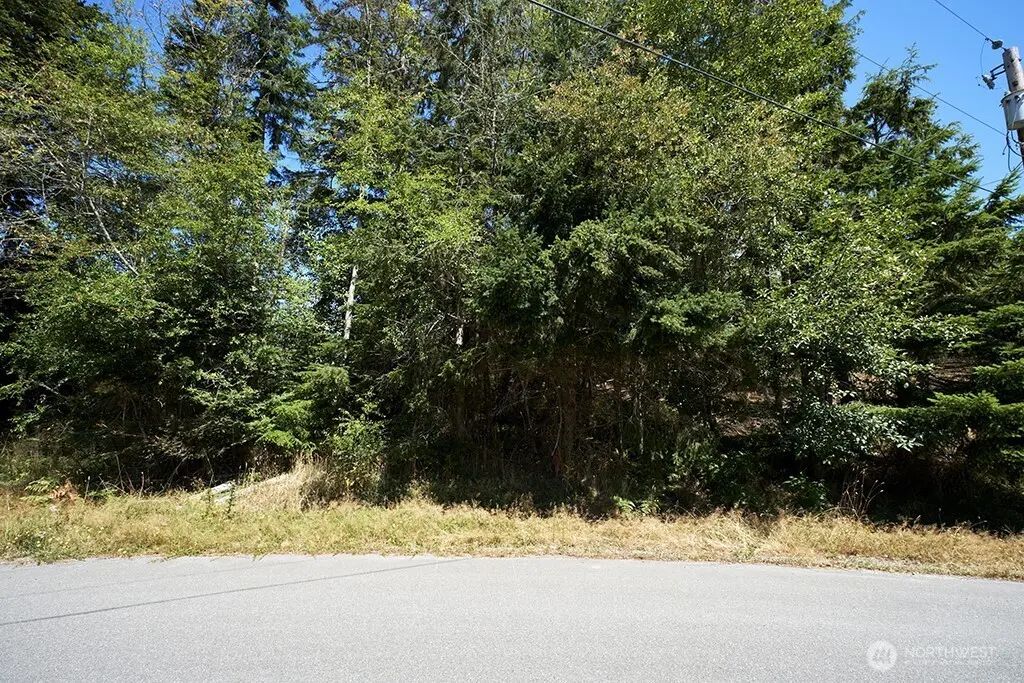 2 & 3 Lot Sycamore Road, Coupeville