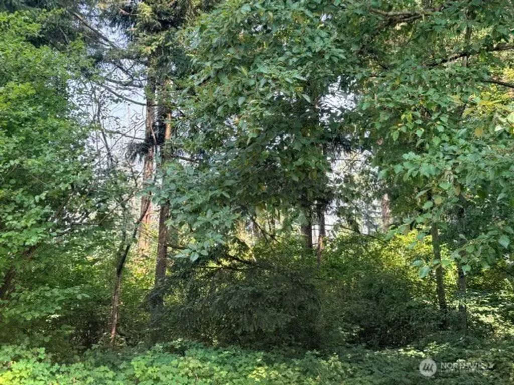 S 354th Street, Auburn