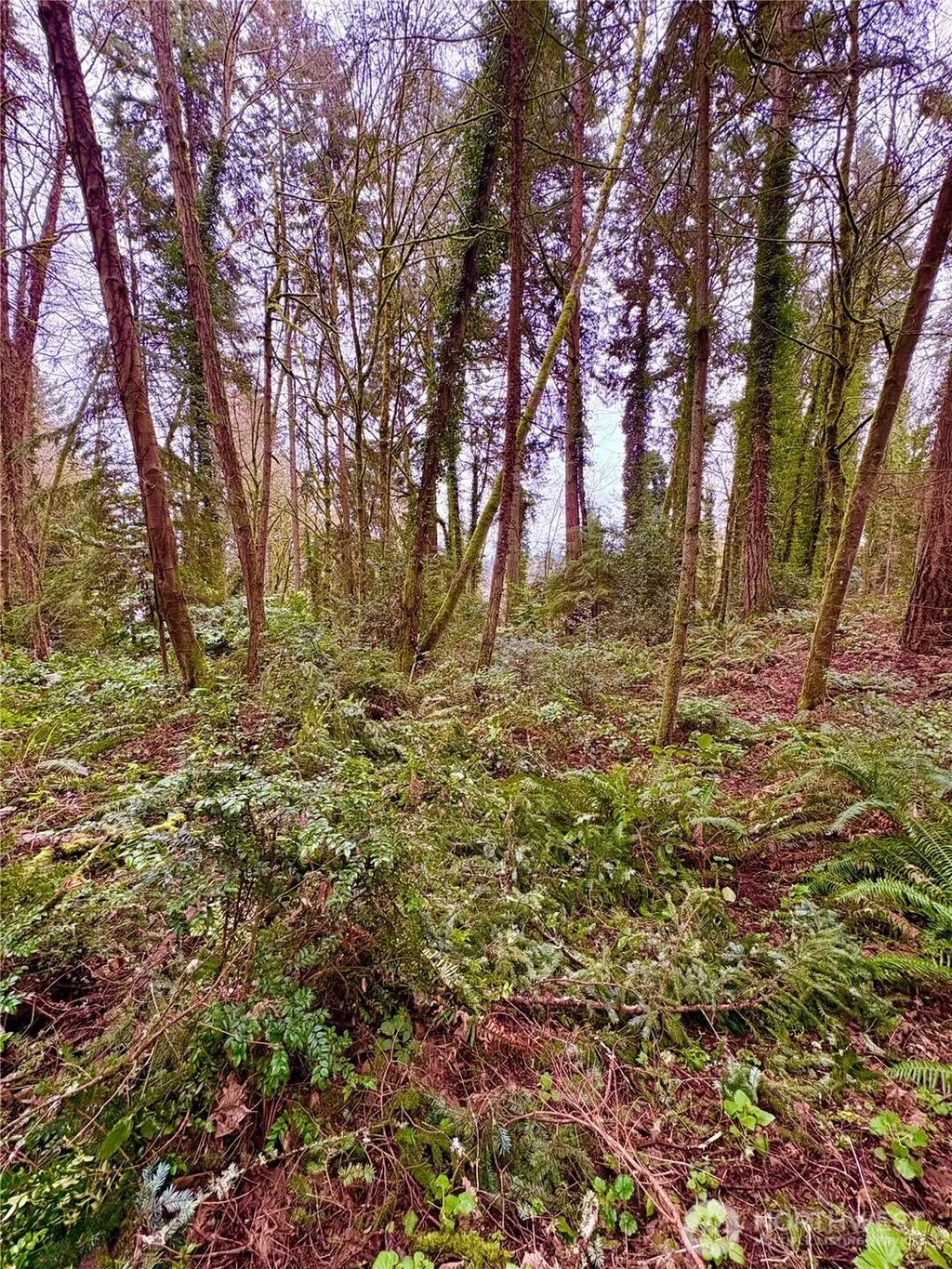 Sw 230th Street, Vashon