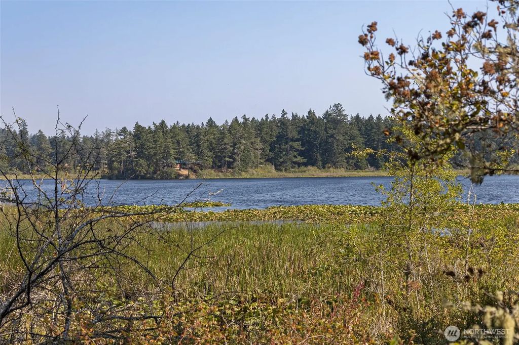 Egg Lake Road, Friday Harbor